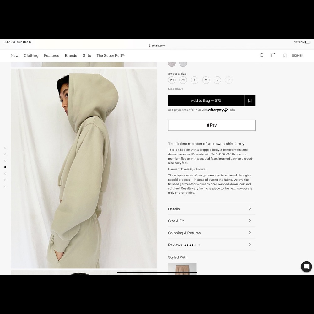 COPY - Aritzia cozy af perfect shrunken hoodie - Picture 4 of 4
